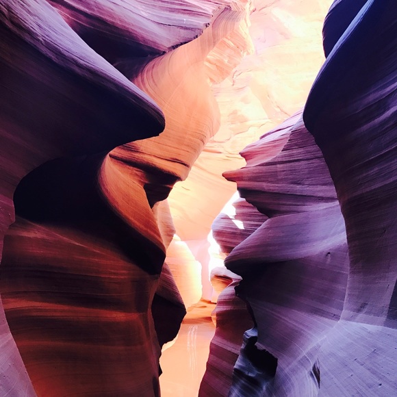 Meet your Posher, Alex - Picture 3 of 3